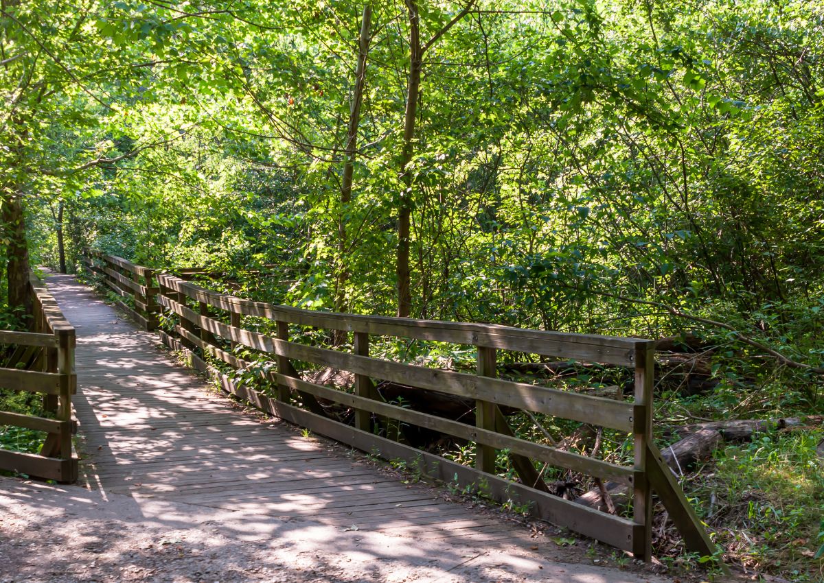 Best Hikes In The Catskills For Every Need Tips And Wildlife Included