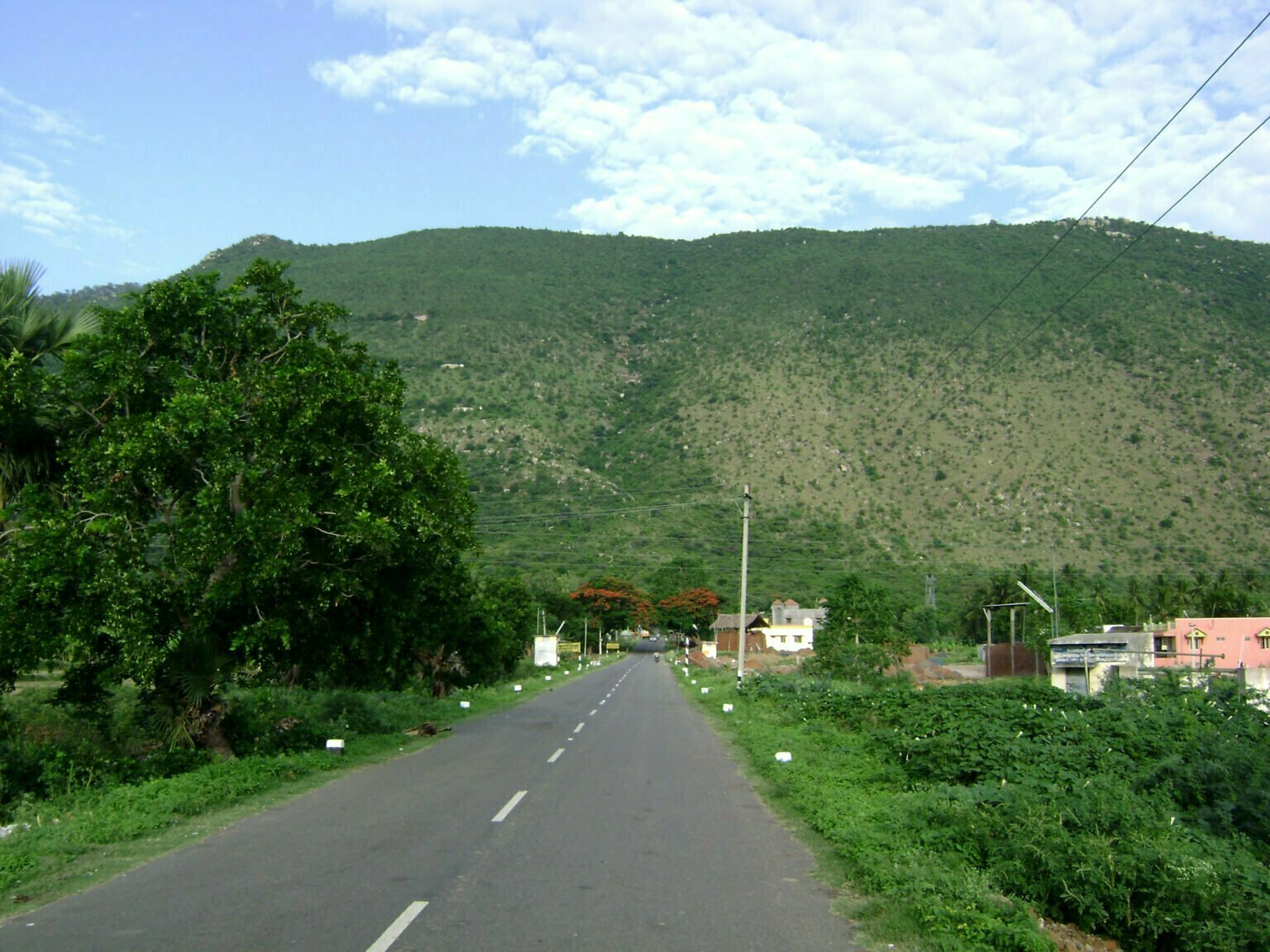 Yelagiri Hill