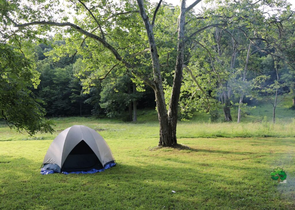 14 State Parks In Virginia With Camping In All Seasons!