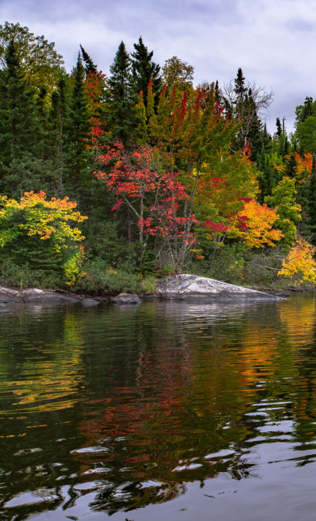 7 Things That Make Voyageurs National Park So Special! Voyageurs National Park