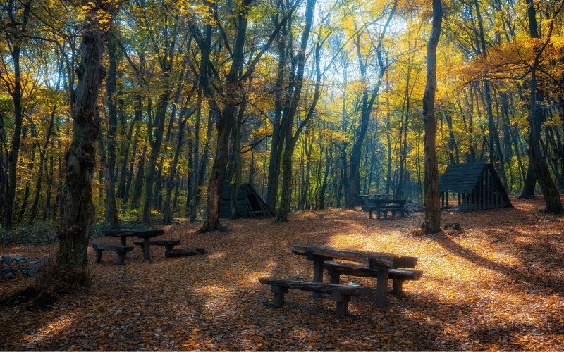 10 Campgrounds in Lincoln National Forest We Stayed At on Our Hiking Trip! Apache Campground in lincoln national park