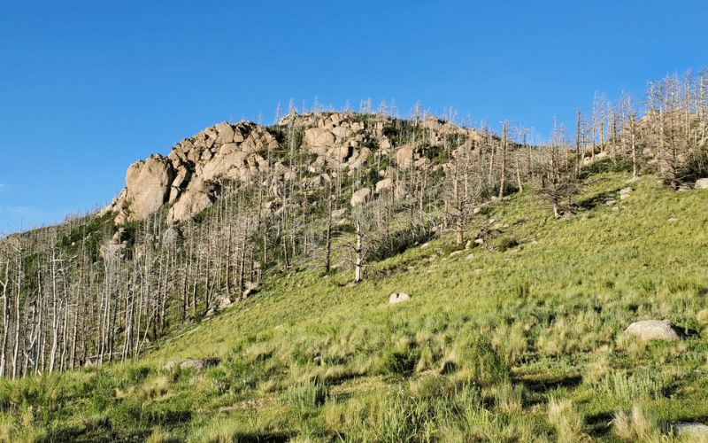 10 Campgrounds in Lincoln National Forest We Stayed At on Our Hiking Trip! Monjeau campground in lincoln national park