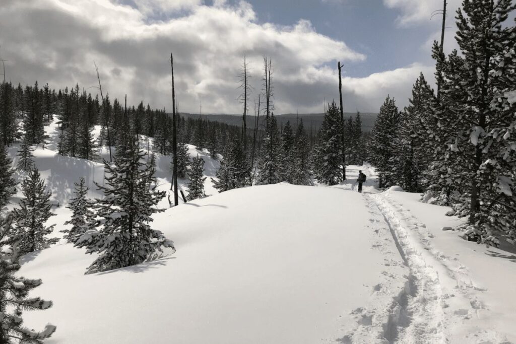 EXPLORE THE MAROON BELLS: The Ultimate Guide with a Things to Do List! maroon bells