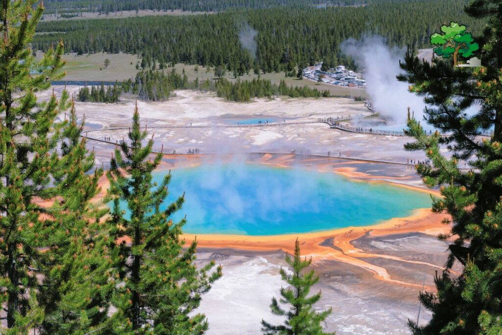 6 Mile Geyser Hiking Tour in Yellowstone with Lunch