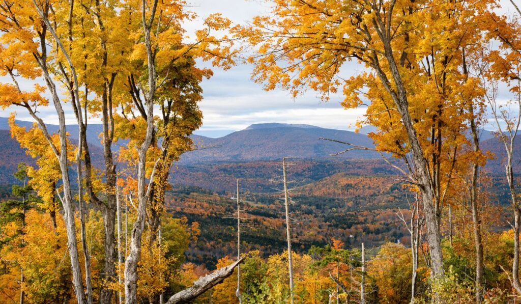 Black Dome Catskill Mountains blog