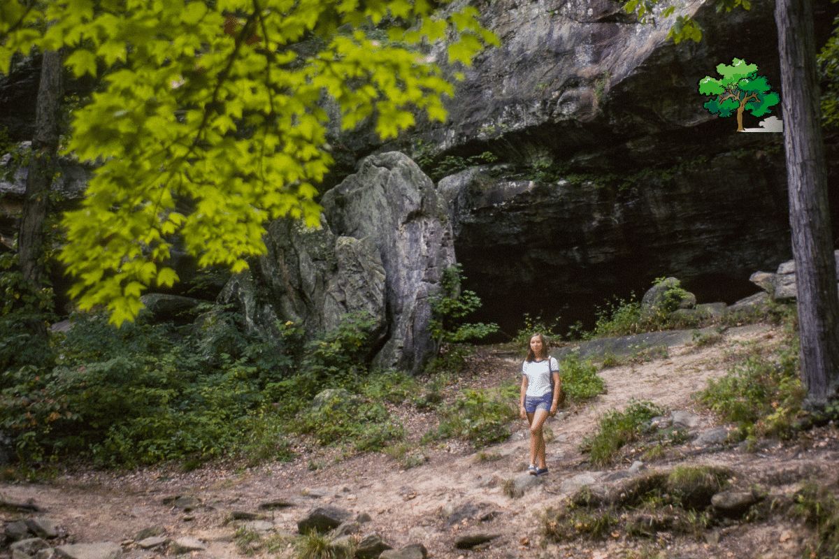 Shawnee National Forest, Illinois (Wildlife, Camping, And Trails)