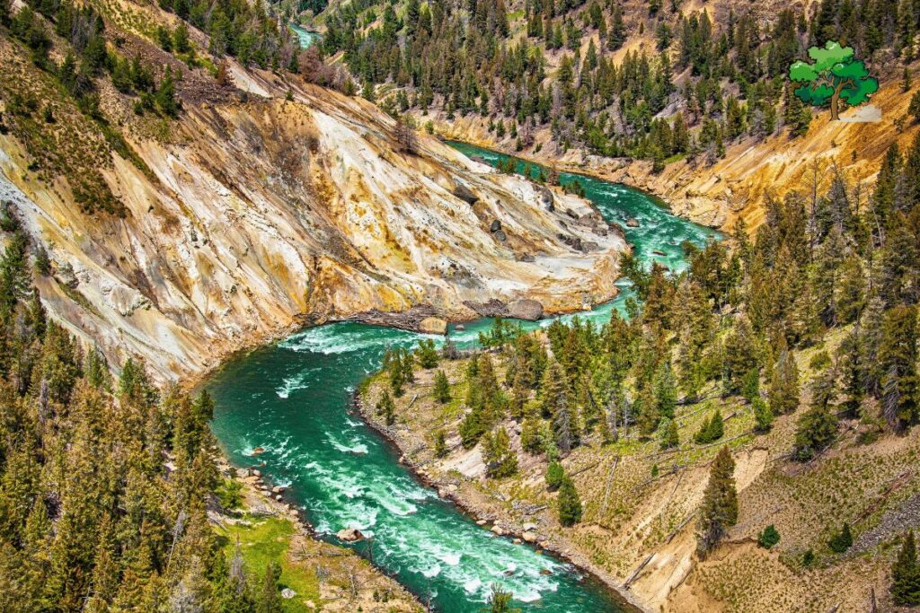 Full Day Guided Yellowstone Day Tour