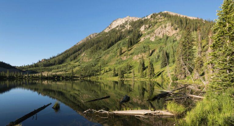 12 Colorado National Forests: An Outdoor Guide From Denver!