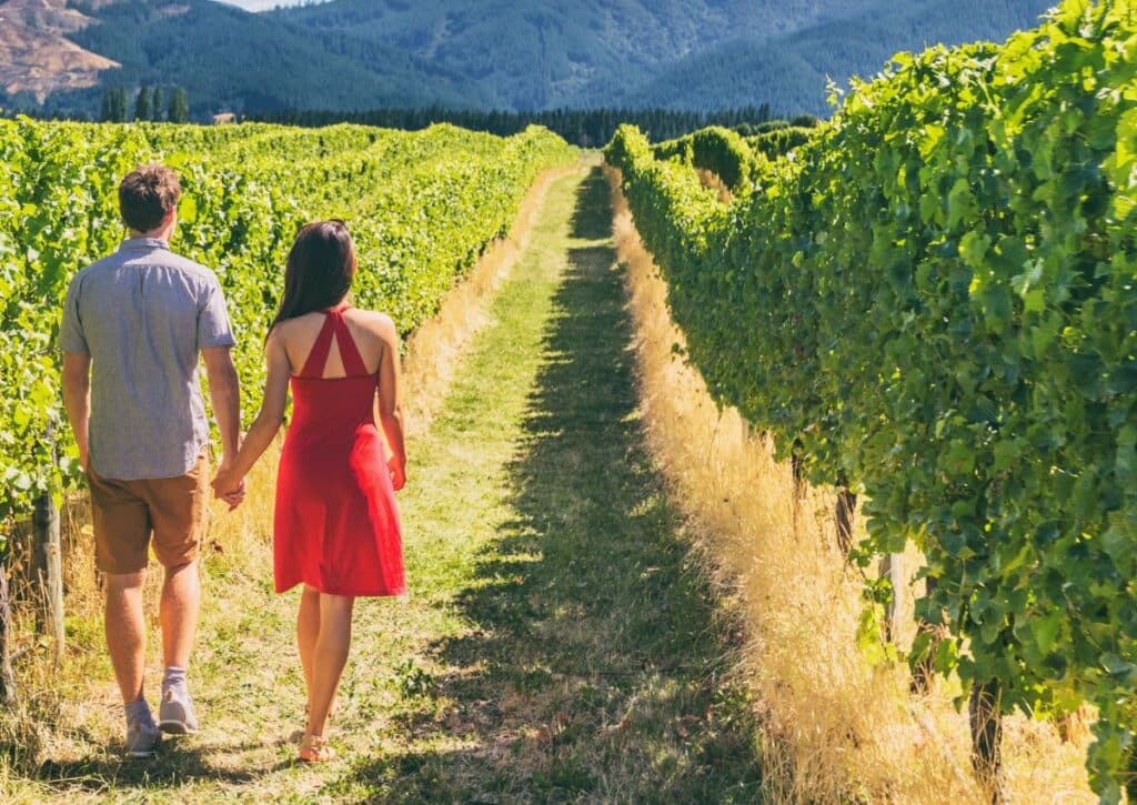 Hikes in Napa Valley
