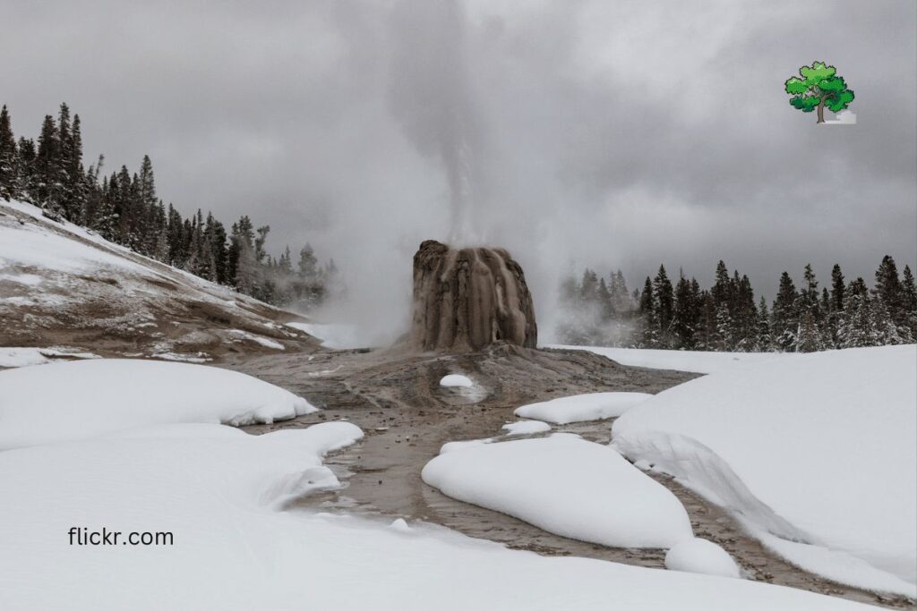 LONE STAR GEYSER Yellowstone National Park winter HIkes real