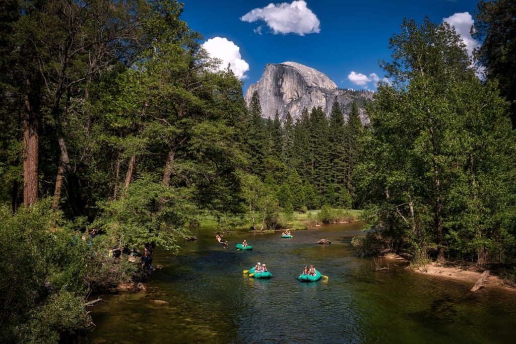 9 Pet Friendly Campgrounds in Yosemite National Park (Safety Tips Included) UPPER PINES CAMPGROUND