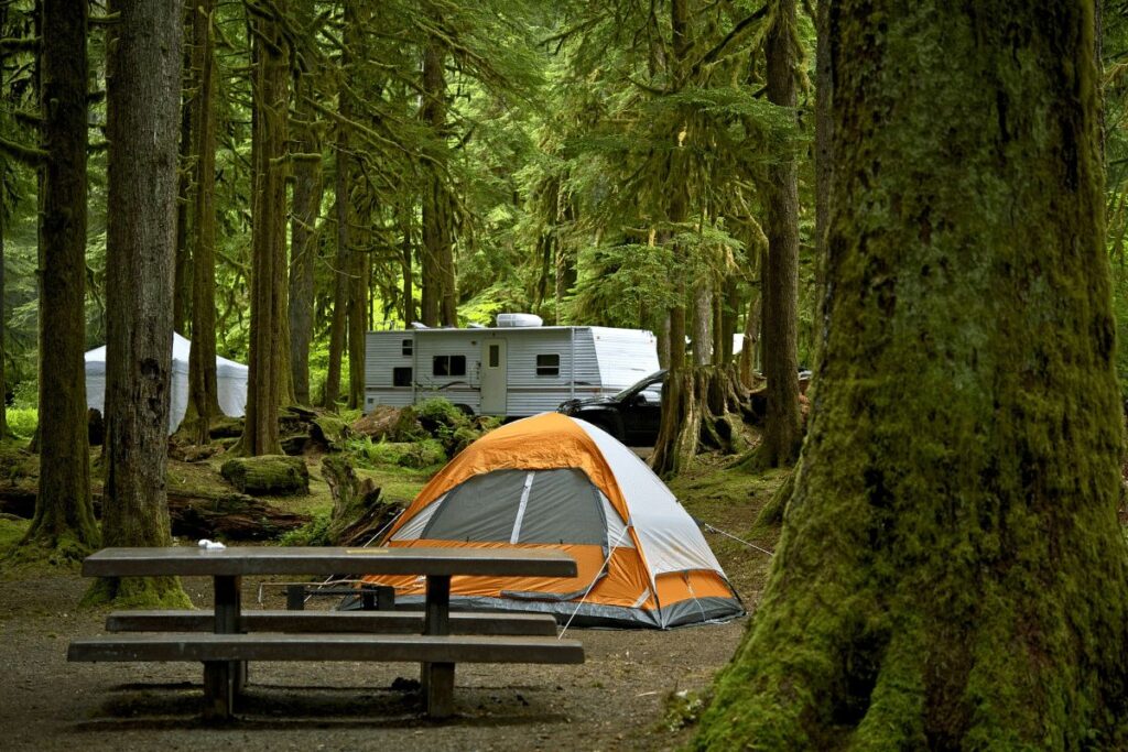 Pet Friendly Campgrounds in Yosemite National Park