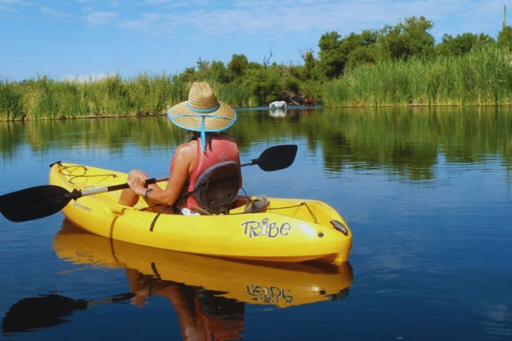 4 water guided tours in phoenix