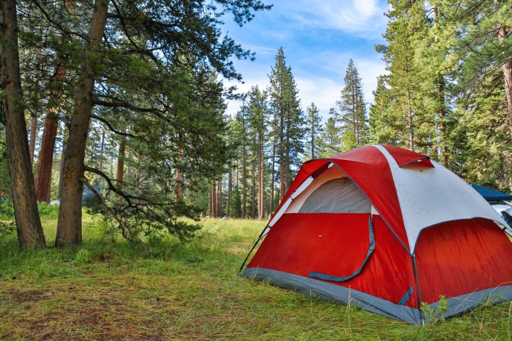Camping in Napa Valley: 8 Handpicked Options (By Avid Outdoorsmen) Bothe Napa Valley State Park
