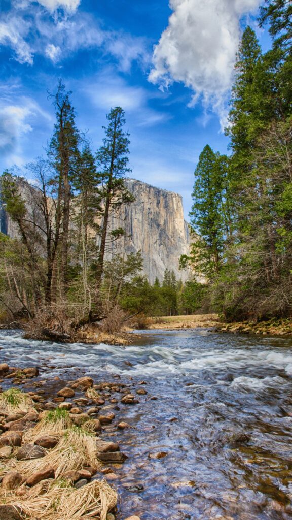 El Capitan Yosemite National Park