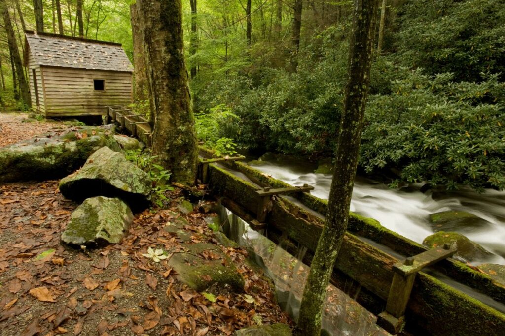 https://thewhistlingoak.com/great-smoky-mountains-national-park-6-trails-on-an-exciting-guided-tour/