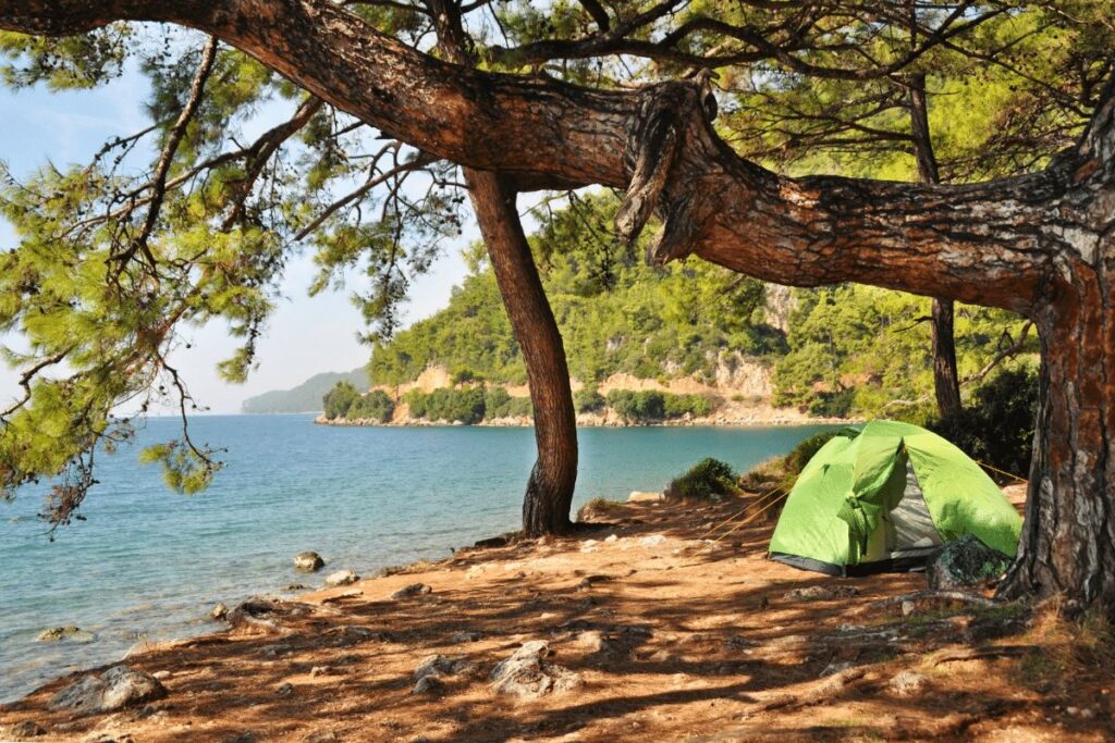 Camping in Napa Valley: 8 Handpicked Options (By Avid Outdoorsmen) Putah Canyon Campground