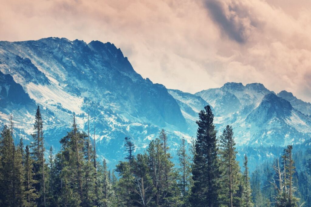 Rocky Mountain alpine forest