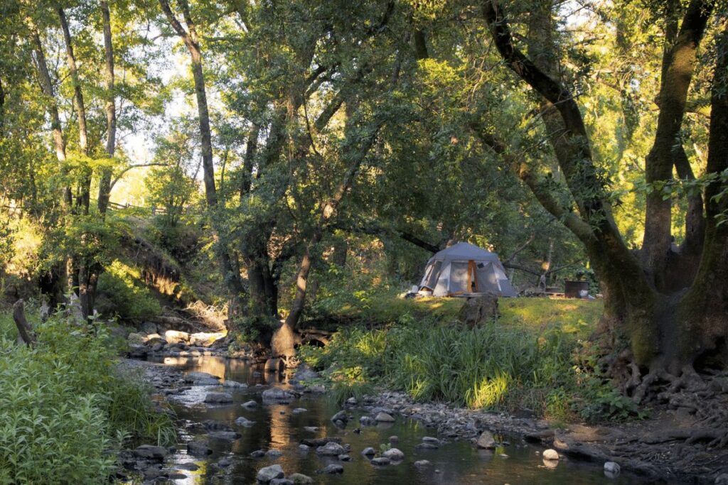 Camping in Napa Valley: 8 Handpicked Options (By Avid Outdoorsmen) Sugarloaf Ridge Campground