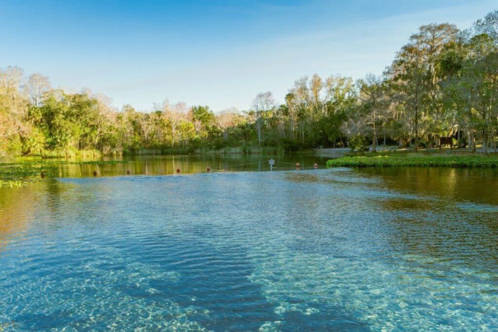 Alexander Springs Campground in Ocala National Forest