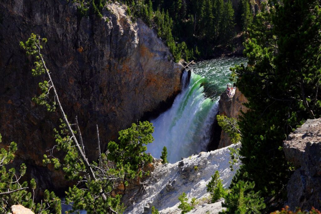 Brink of the Lower Falls 2 Hikes in Yellowstone National Park