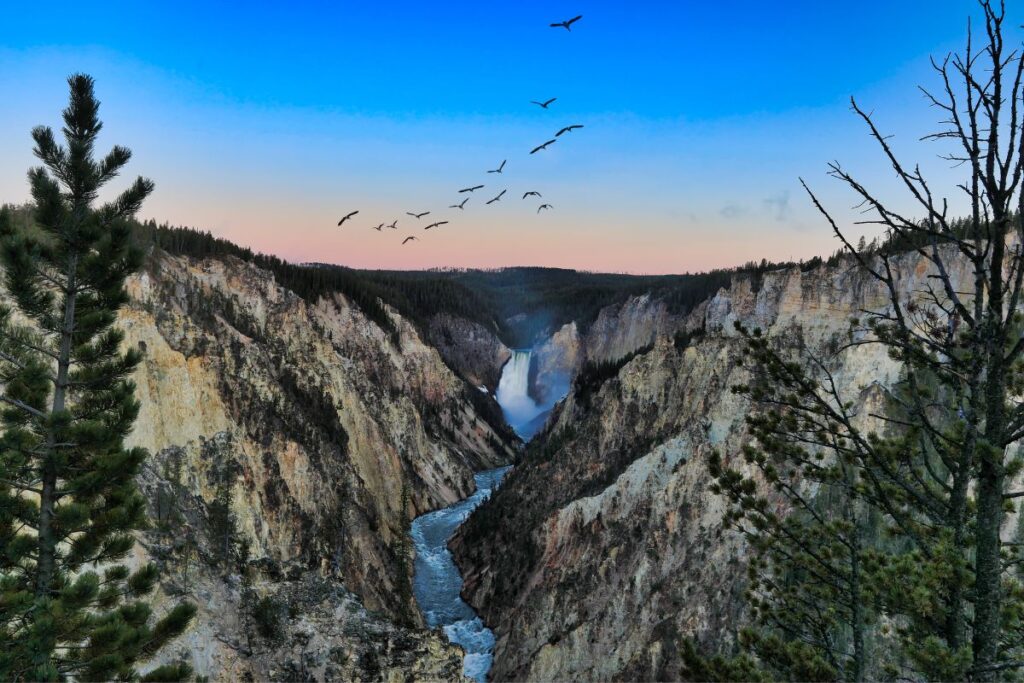 Canyon Rim South Trail to Artist Point 2 hikes in Yellowstone National Park