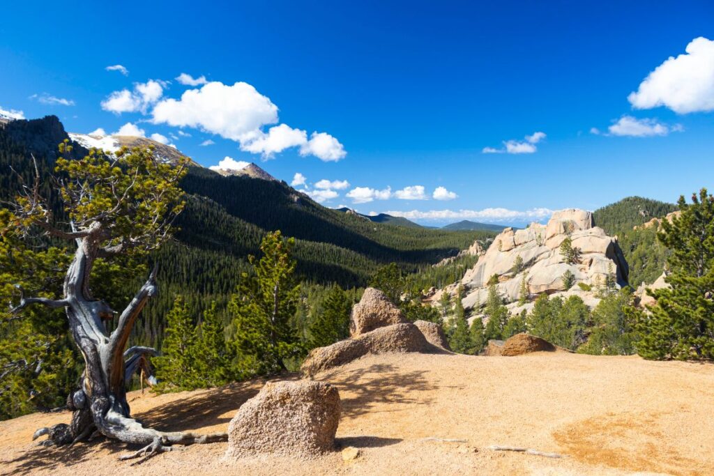 Crags Trail Hikes in Colorado Springs