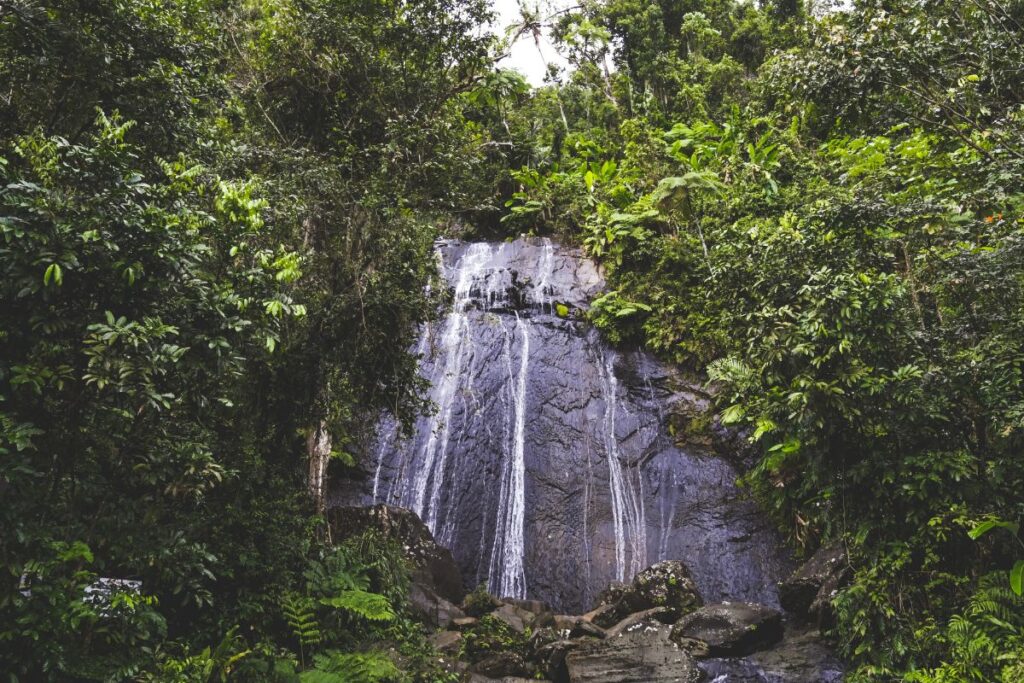 La Coca Falls El Yunque National Forest