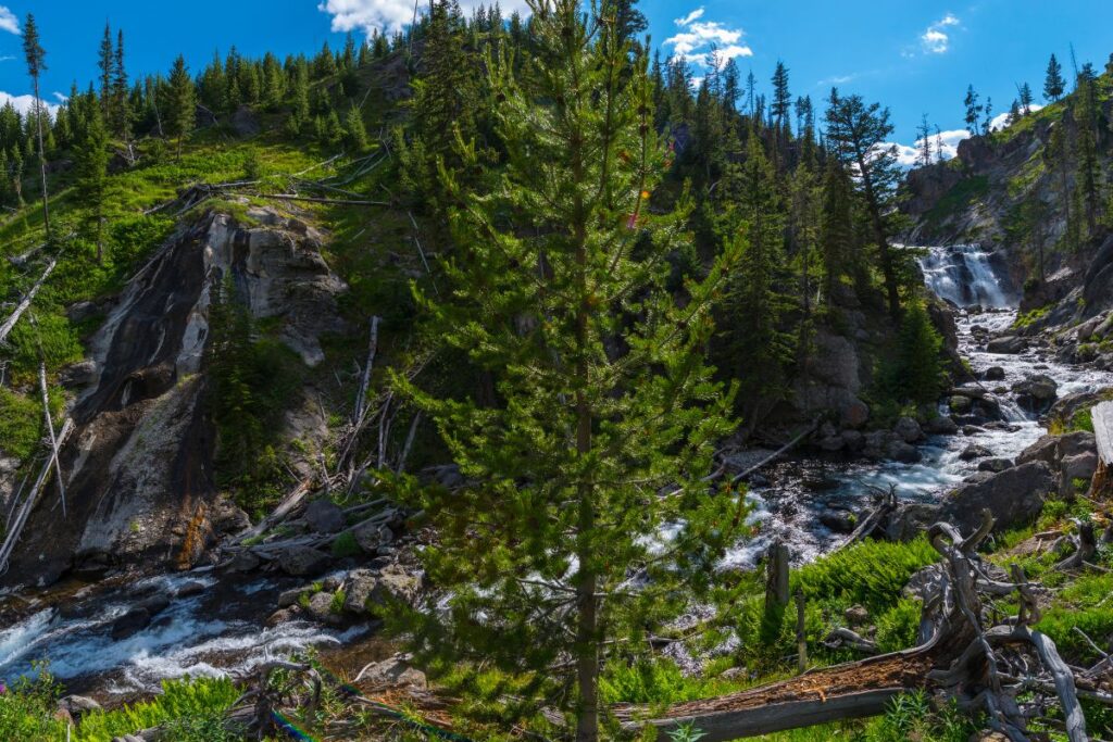 Mystic Falls Hikes in Yellowstone National Park