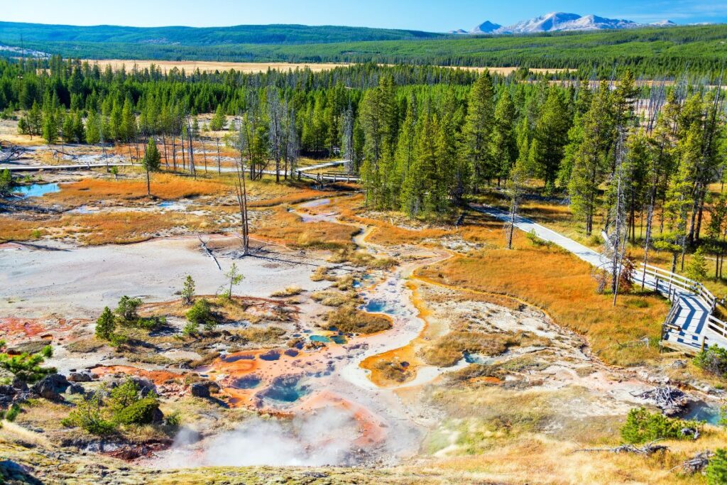 Norris Geyser Hikes in Yellowstone National Park