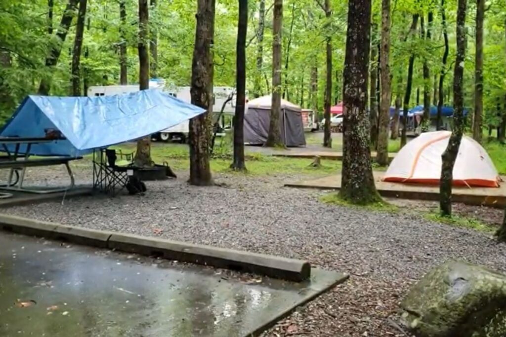 Sites Cades Cove Campground