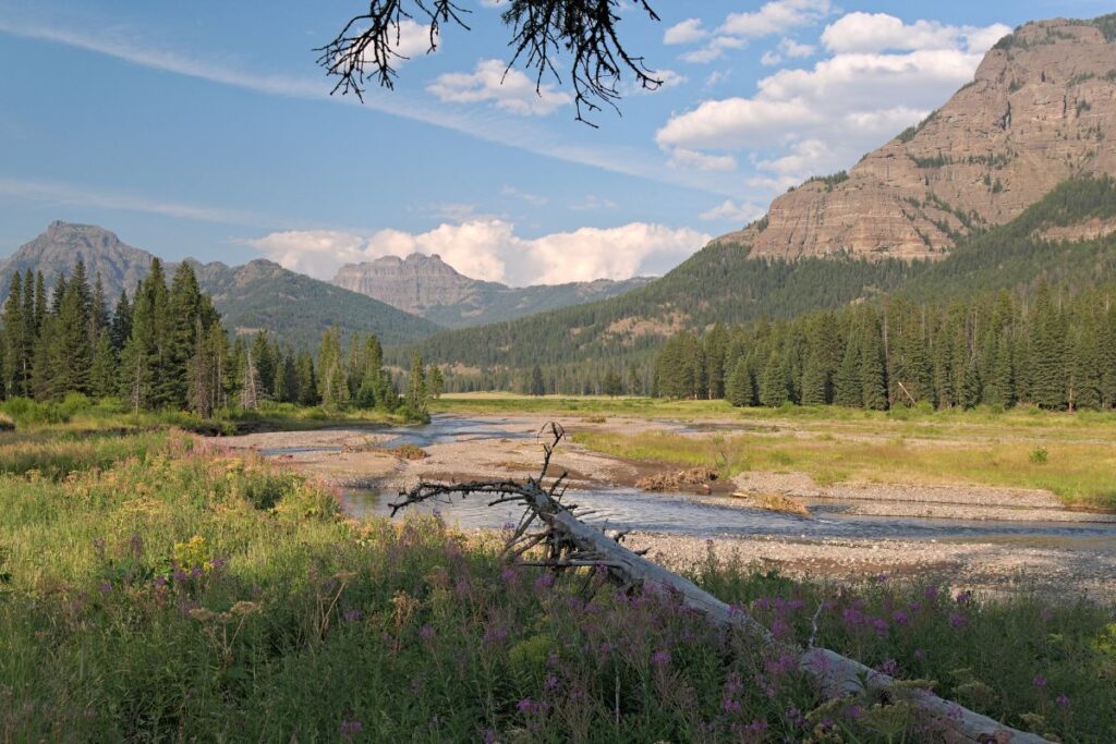 The Lamar Valley Trail 2 Hikes in Yellowstone National Park