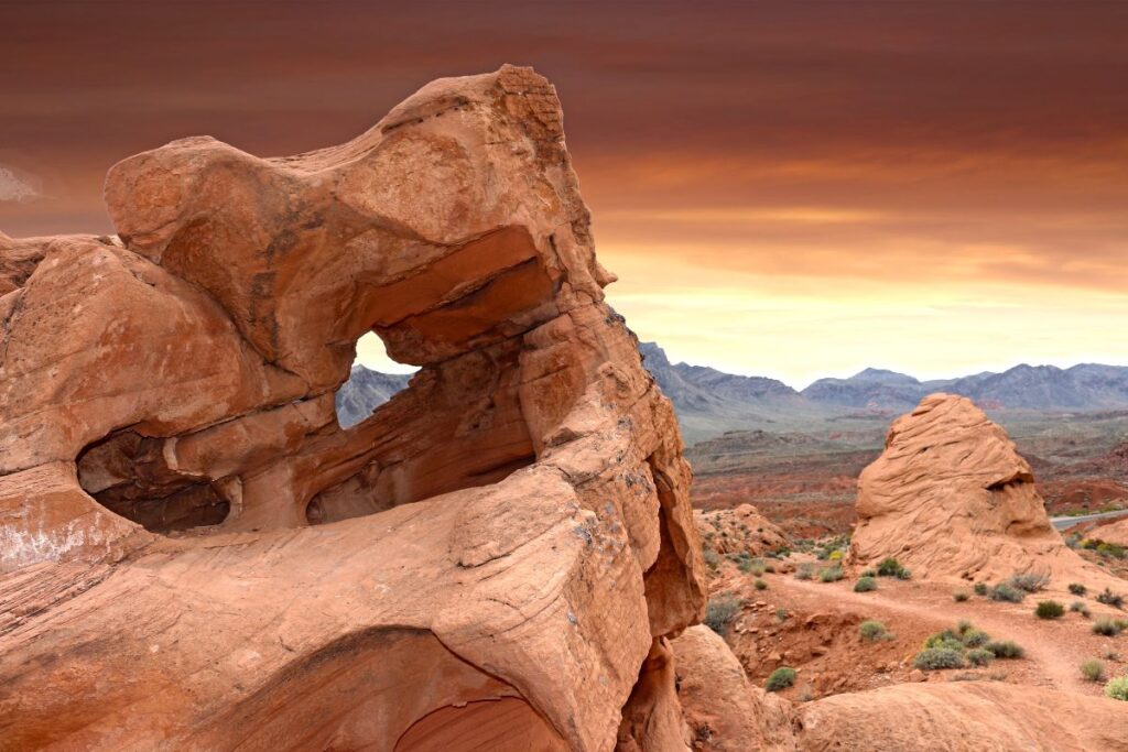 Discover the Top 9 Viator Day Tours to The Valley of Fire State Park from Las Vegas Tour 8 Viator Day Tours to The Valley of Fire