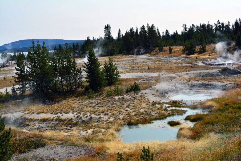 West Thumb Geyser Basin 2 Hikes in Yellowstone National Park