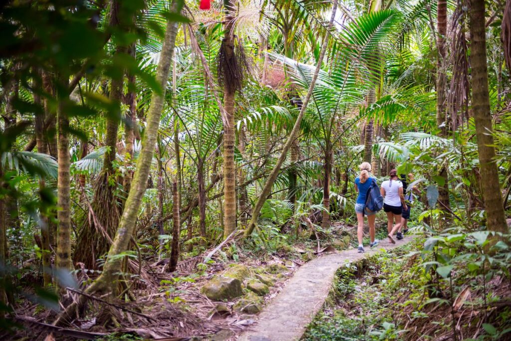 guided hike El Yunque National Forest