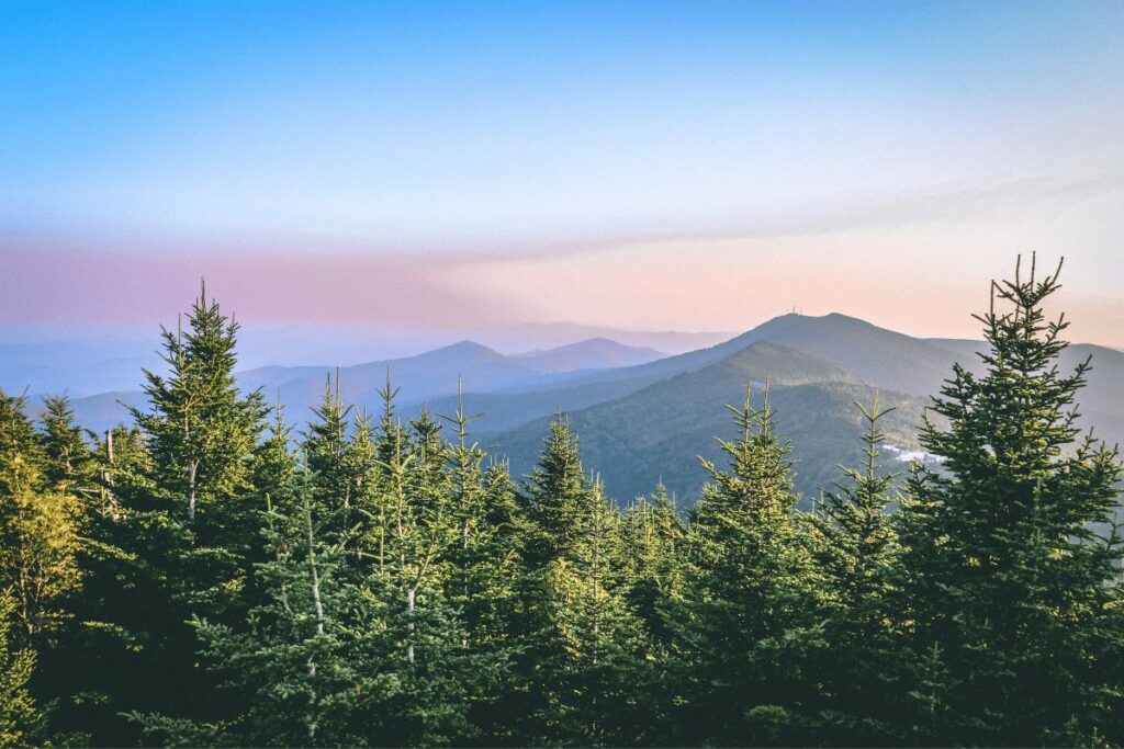 mount mitchell Pisgah National Forest trails