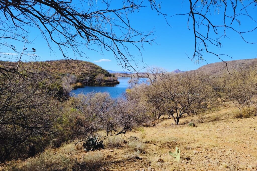 overlook trail Patagonia Lake State Park