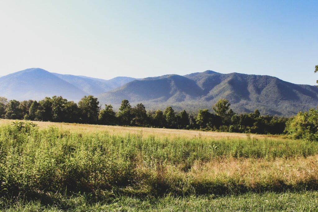 Cades Cove Campground