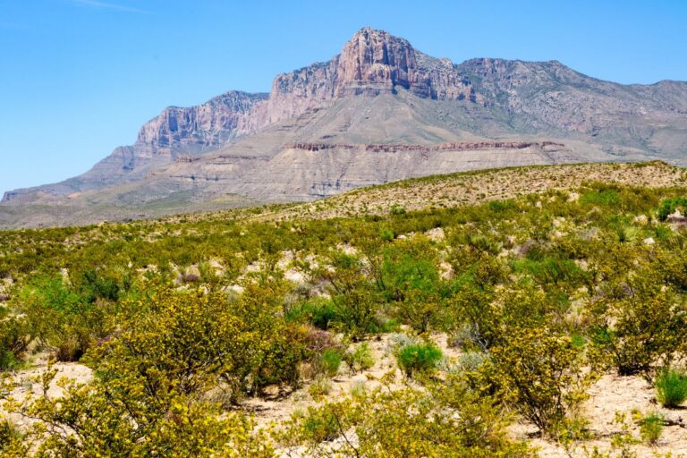 Guadalupe Mountains National Park featured