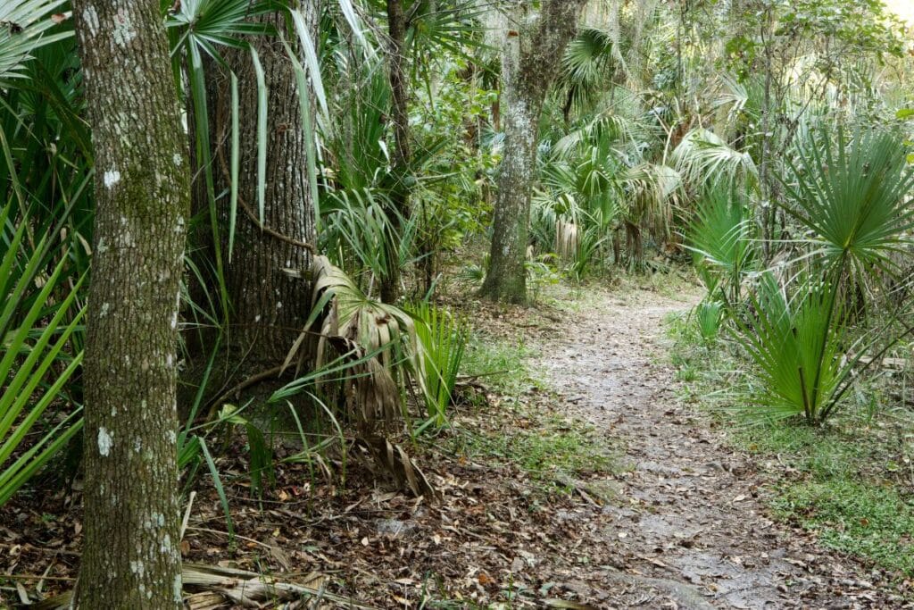 Florida Trail Long Distance Hikes in America