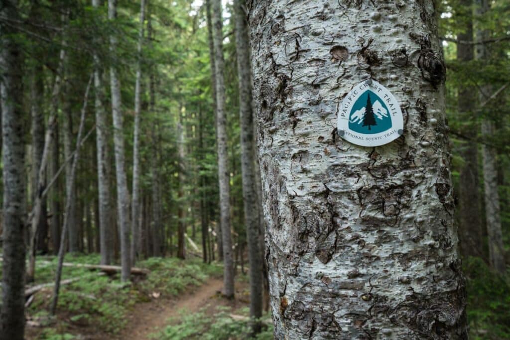 Pacific Crest Trail Long Distance Hikes in America