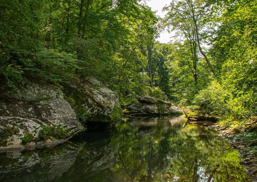 Bell Smith Springs Shawnee National Forest Trails
