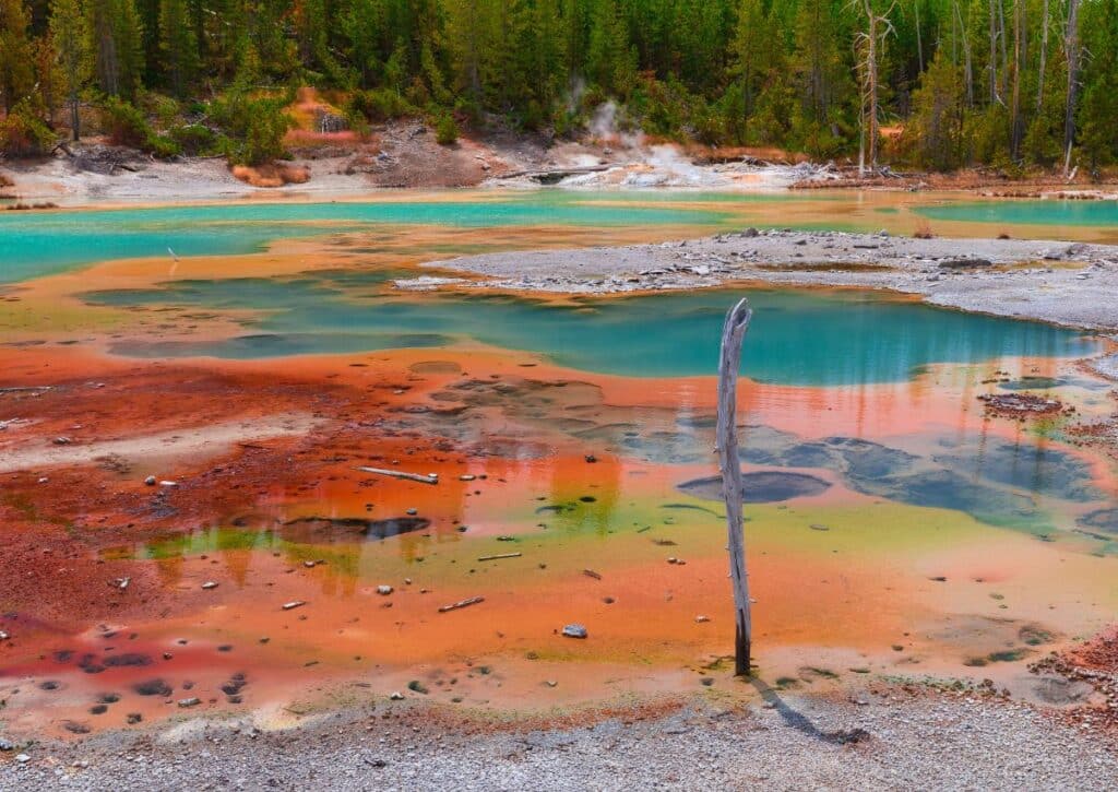 Colorful Palette of Yellowstones Hot Springs