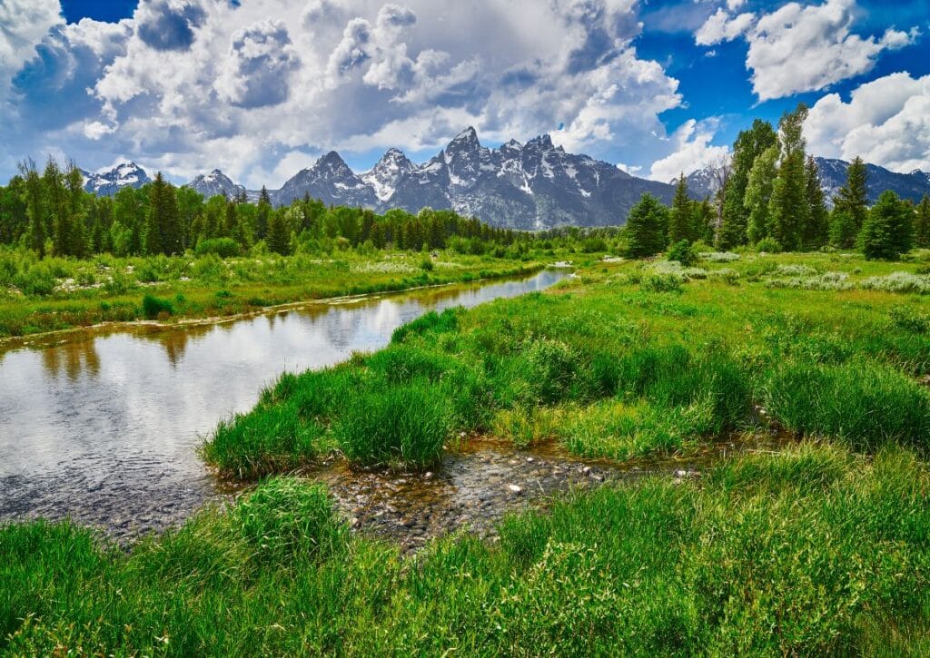 Snake river Blacktail Ponds Overlook