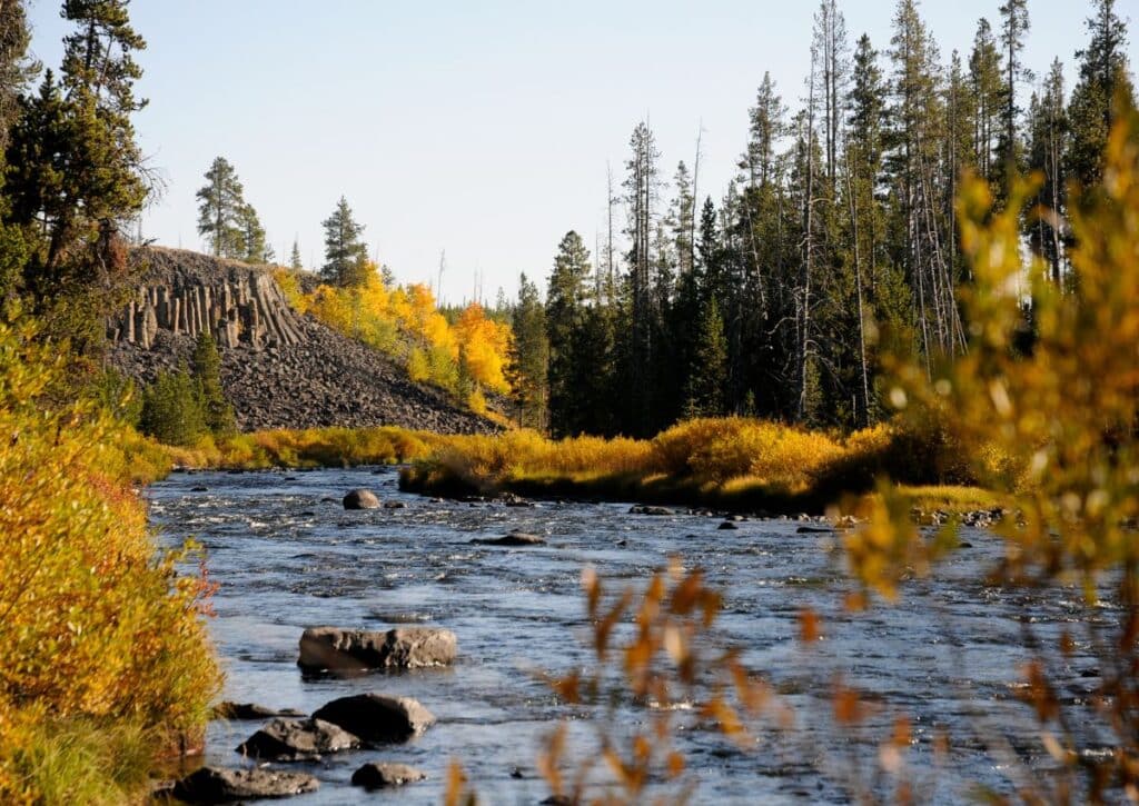 Best Time to Visit Yellowstone is the autumn