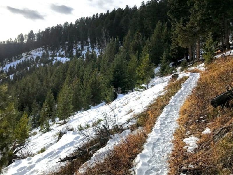 Kirk Hill Trail hikes in winter bozeman