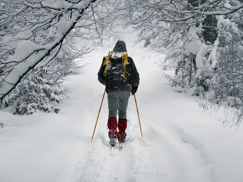 Moose Tracks trail winter hikes Bozeman winter