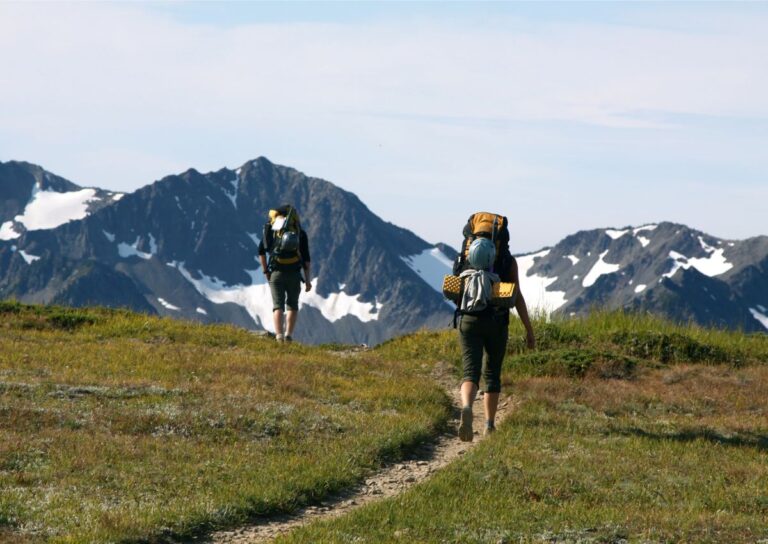 20 Olympic National Park Hikes (Campsites And Tips Included)