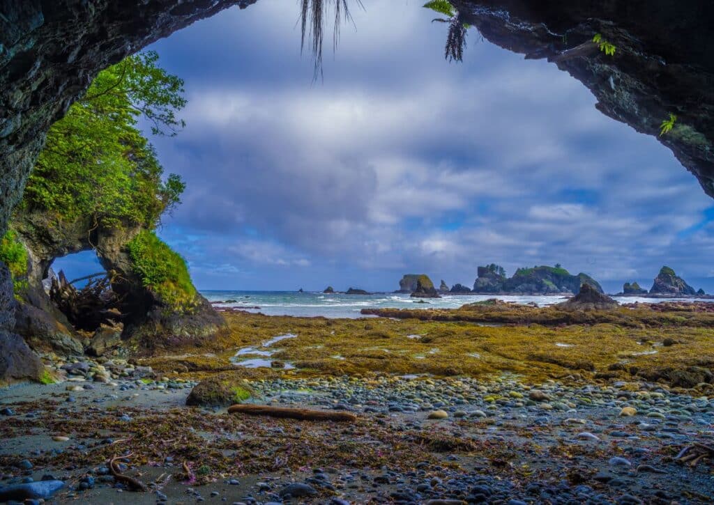 20 Olympic National Park Hikes (Campsites and Tips Included) Olympic National Park Hikes