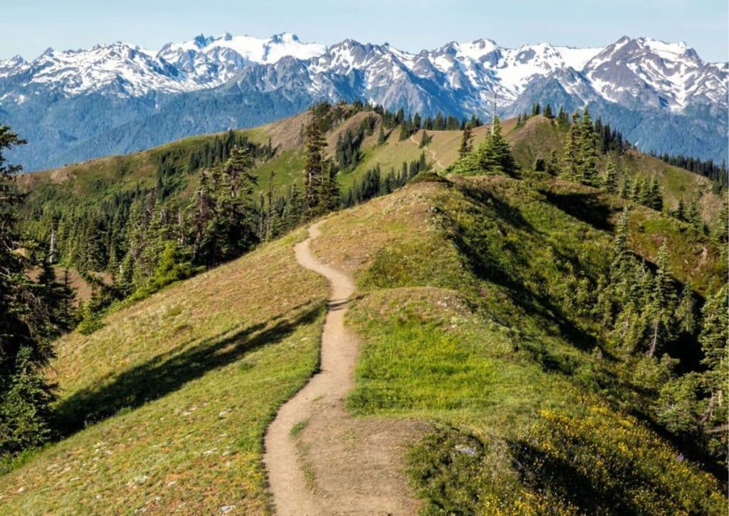 Olympic National Park Hikes